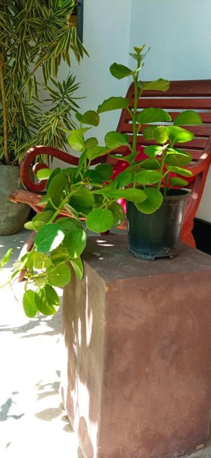 مبيت وإفطار هيكادوفا Mandara Rest المظهر الخارجي الصورة