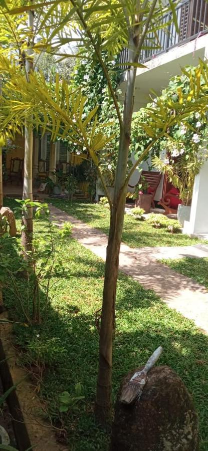 مبيت وإفطار هيكادوفا Mandara Rest المظهر الخارجي الصورة